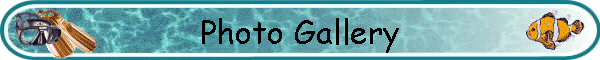 Photo Gallery